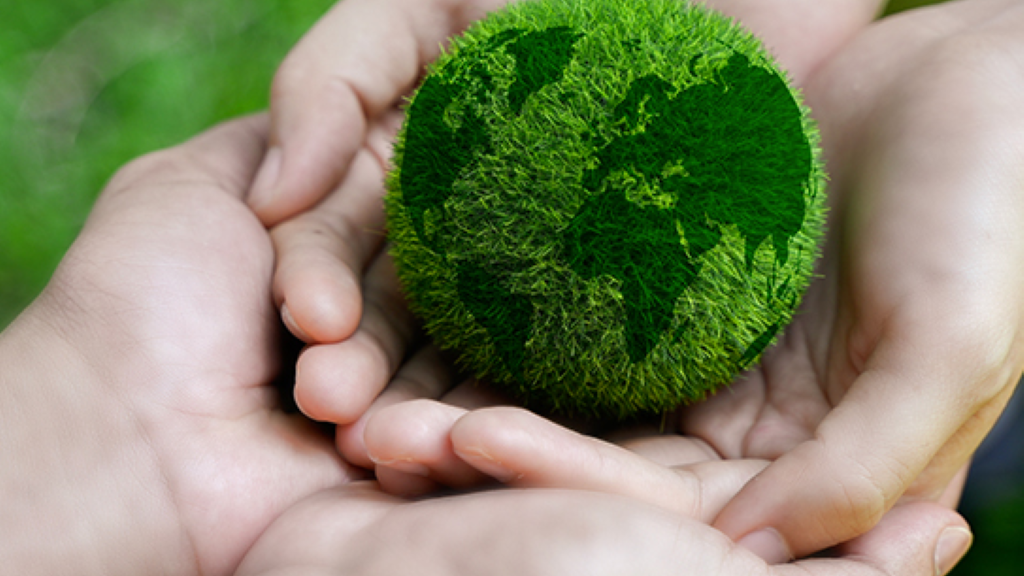 Pioneering sustainable solutions for a greener future